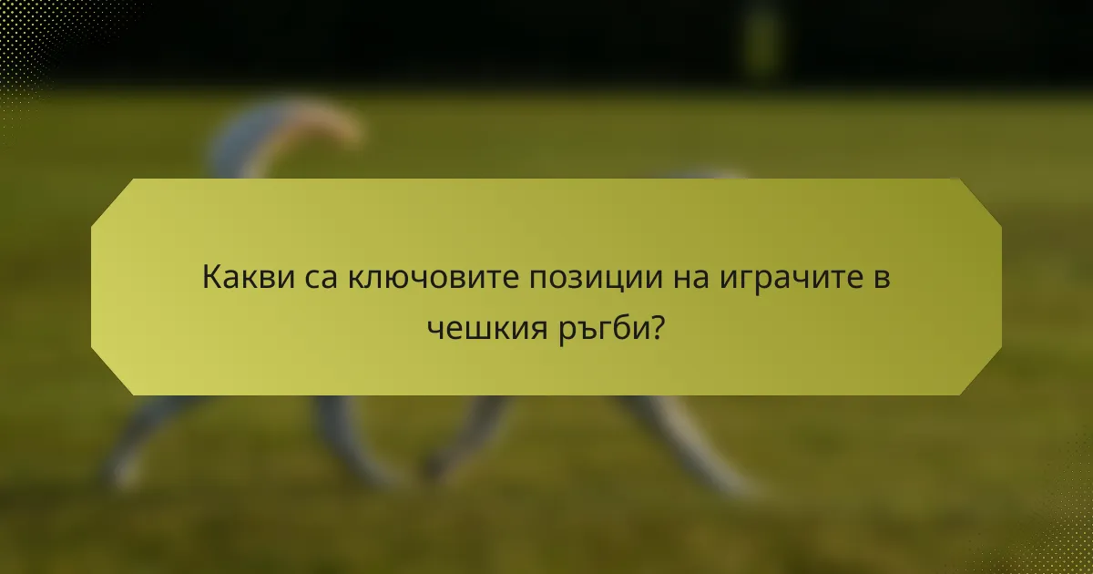 Какви са ключовите позиции на играчите в чешкия ръгби?