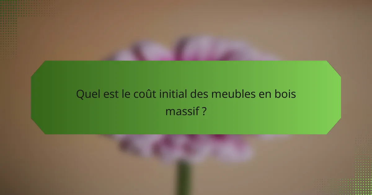 Quel est le coût initial des meubles en bois massif ?